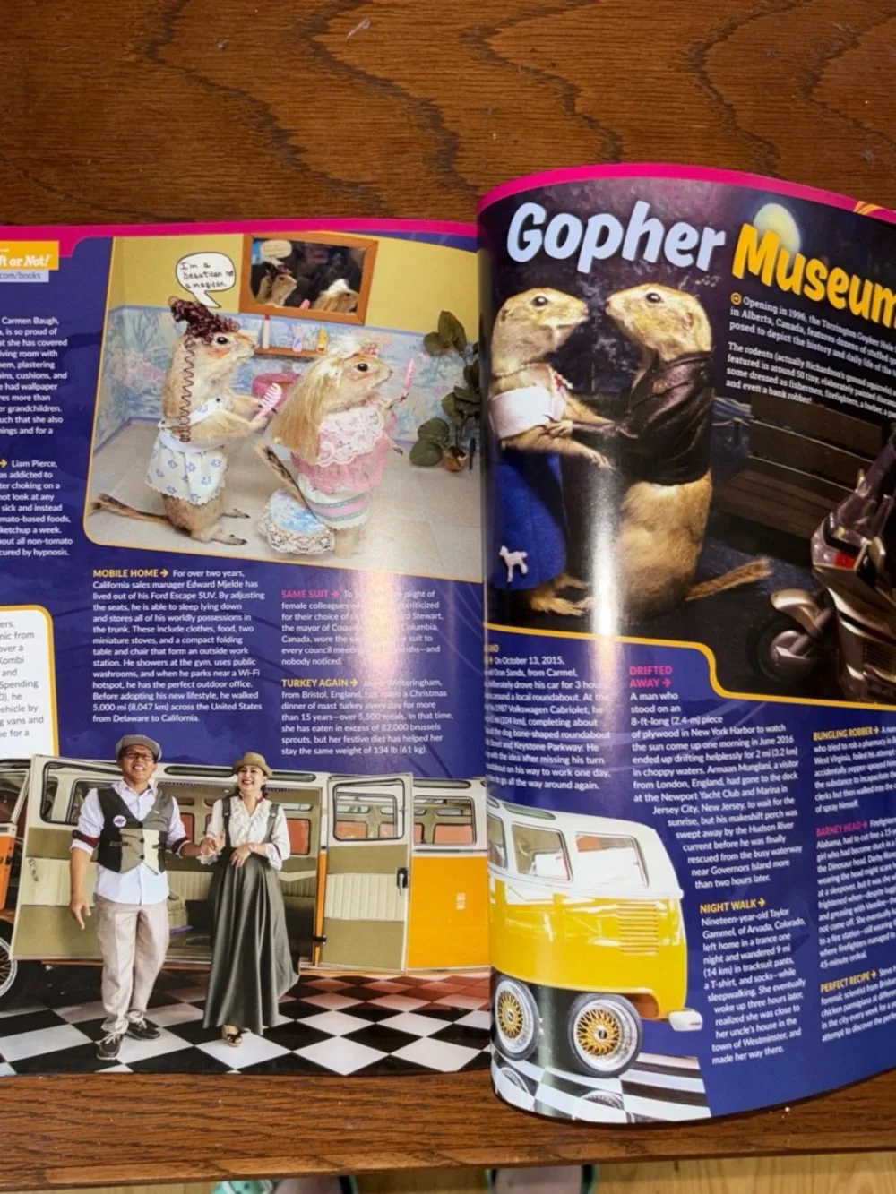 Ripley’s Shatter Your Senses! - Blue Educational Book